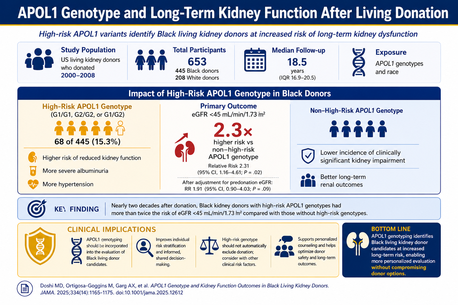 APOL1 and Living Kidney Donation — LETO Study Summary Infographic